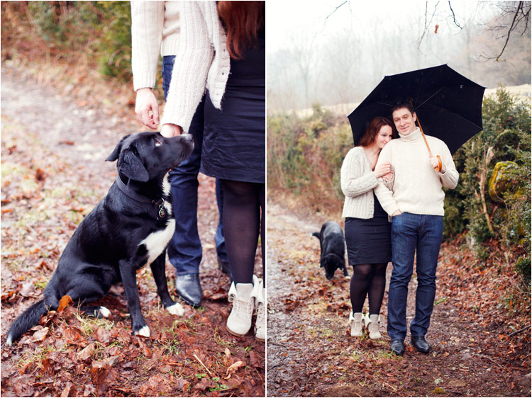 photos d'engagement sous la pluie dans le foret avec le chien